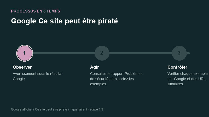 Processus animé pour comprendre Google Ce site peut être piraté