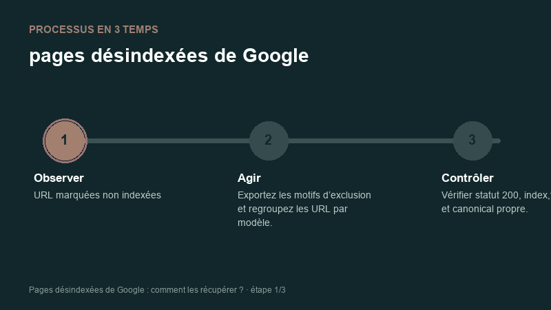 Processus animé pour comprendre pages désindexées de Google