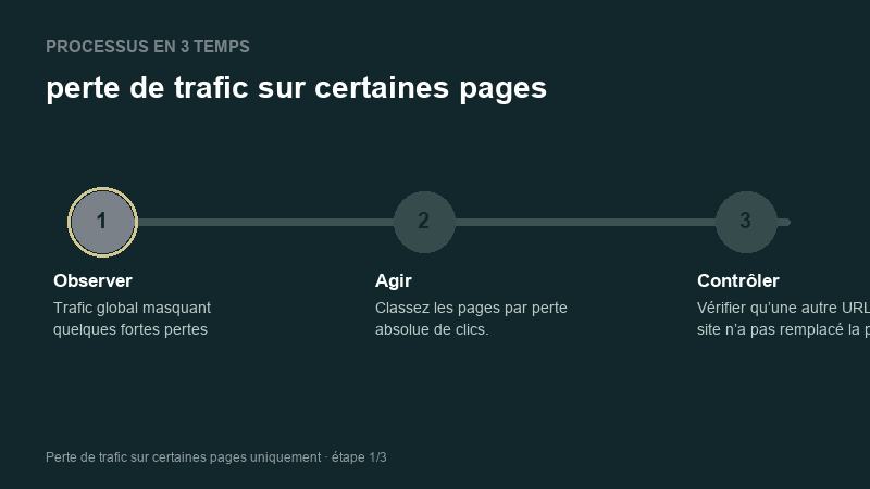 Processus animé pour comprendre perte de trafic sur certaines pages
